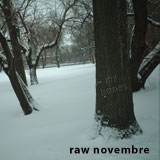 Raw Novembre - My Bones